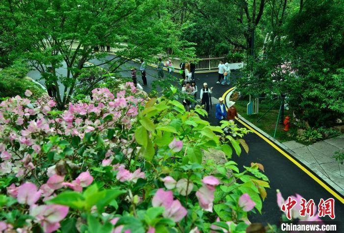 福州三江口植物园吸引民众JN江南注册(图1)