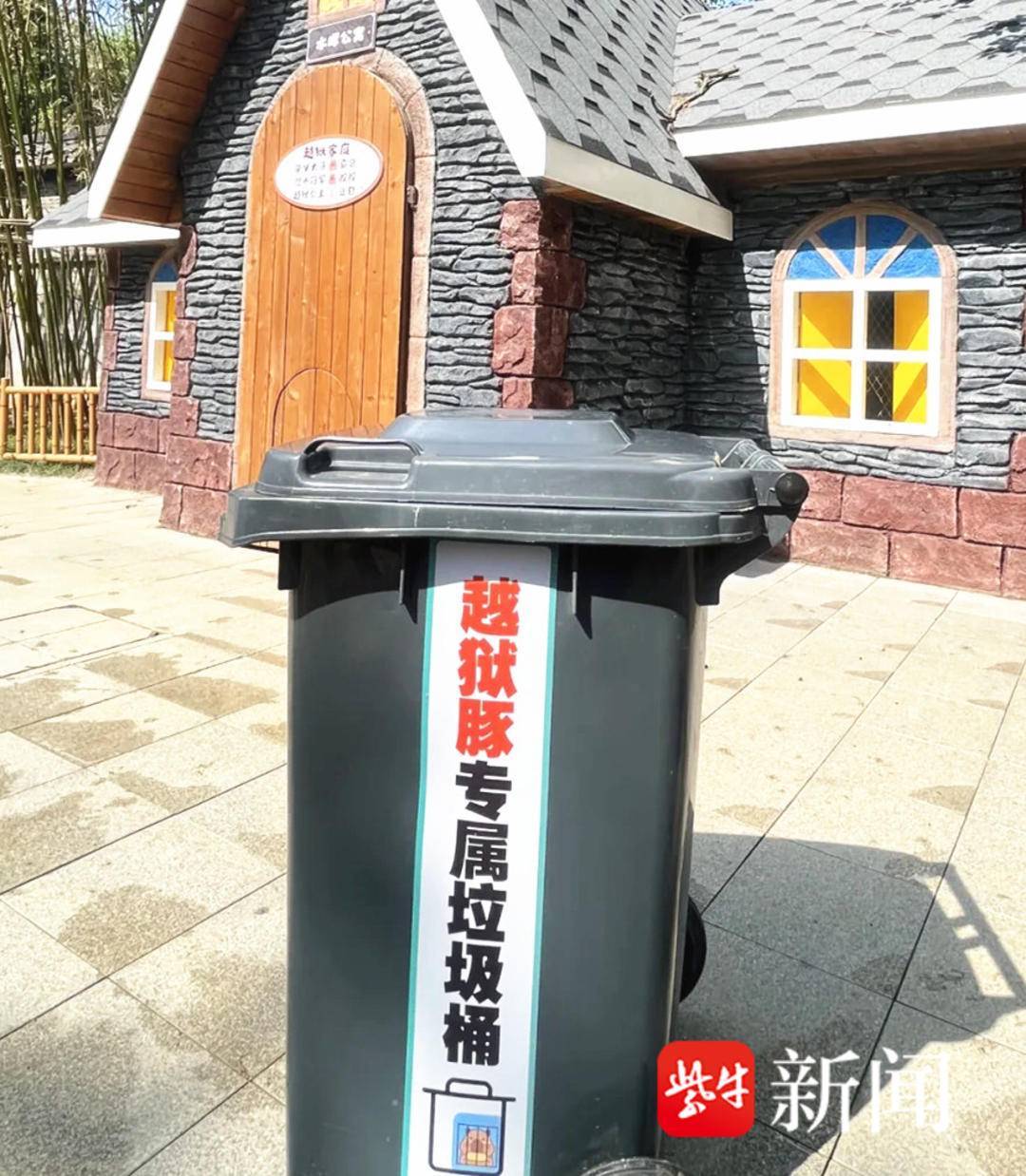 连续报道越狱豚“豆包”你的专属垃圾桶星空体育网址已准备就绪(图1)