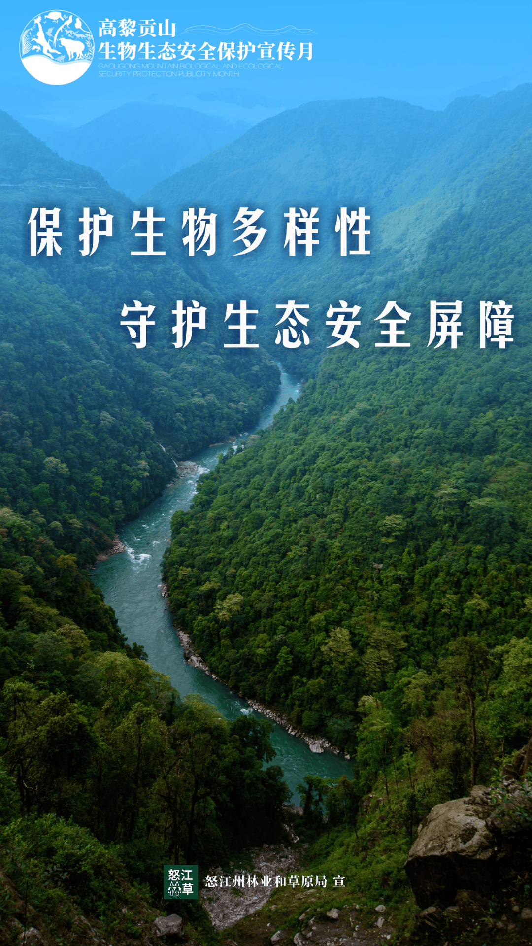 叮!高黎贡山生物生态安全保护宣传月主题海报来袭