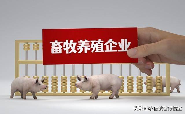 猪业大揭秘！各地一季度数据与企业动态全知道
