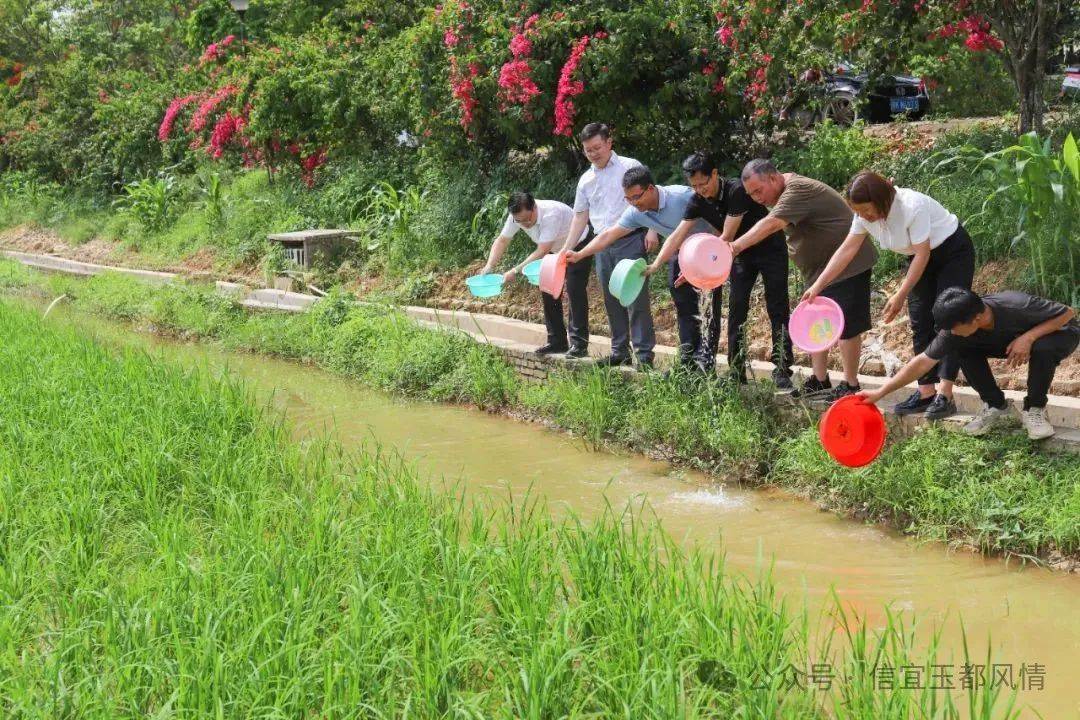信宜网站养殖区_信宜市家禽批发市场在哪里