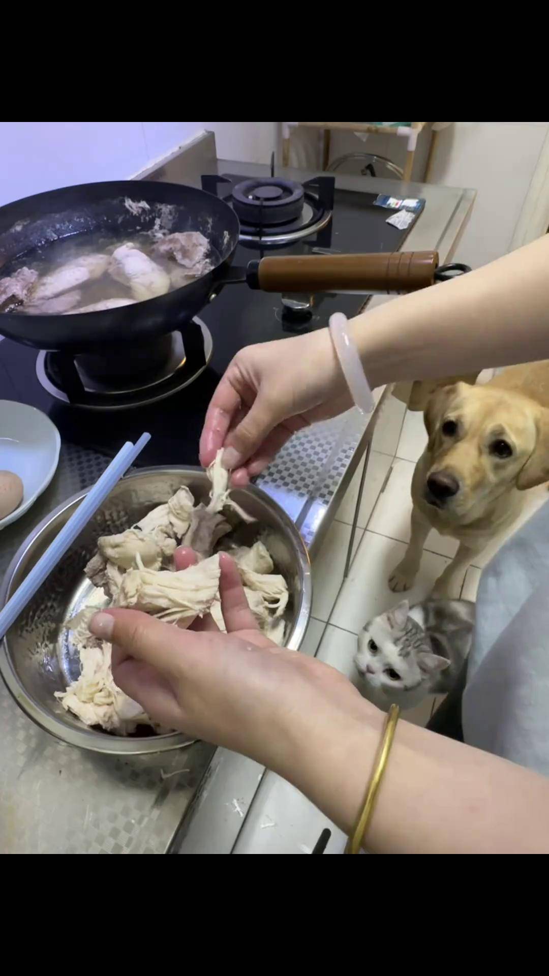 哈哈食堂开饭啦 拉布拉多 干饭狗的日常 自制狗饭 当你有只嘴馋小狗