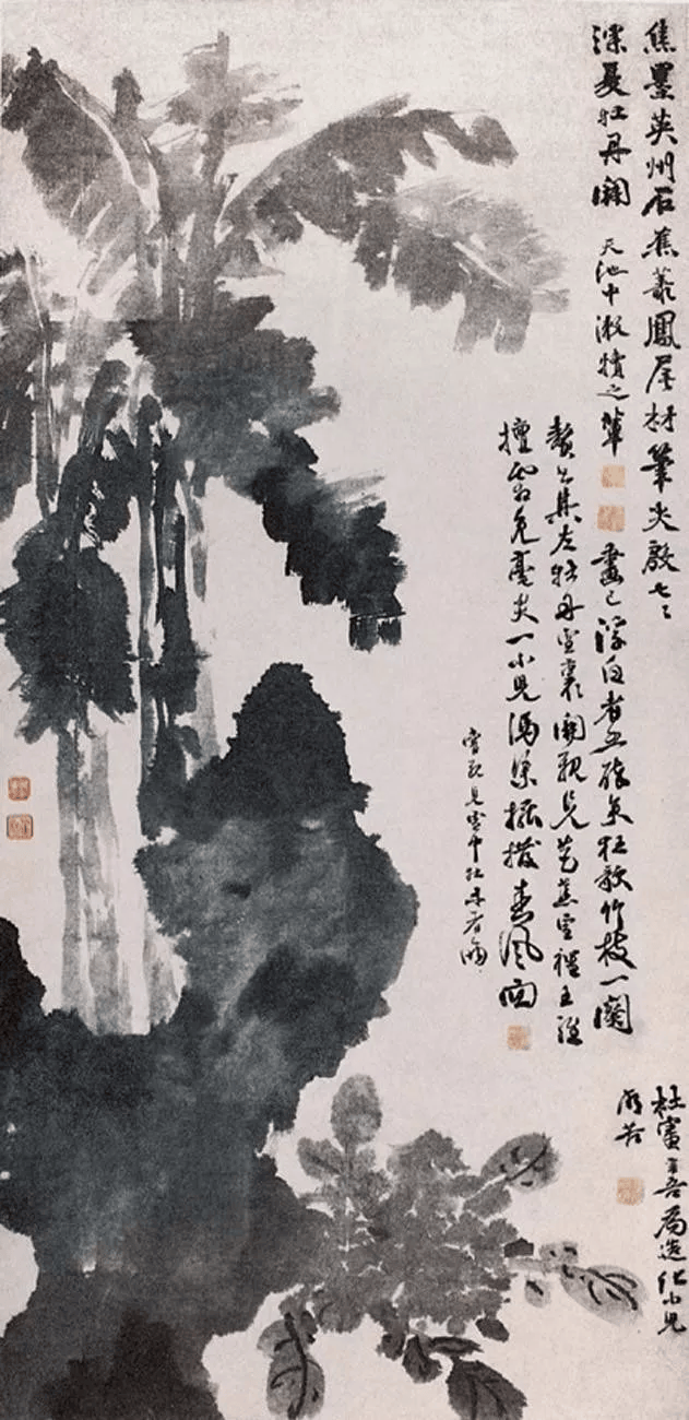 徐渭 《牡丹蕉石圖》