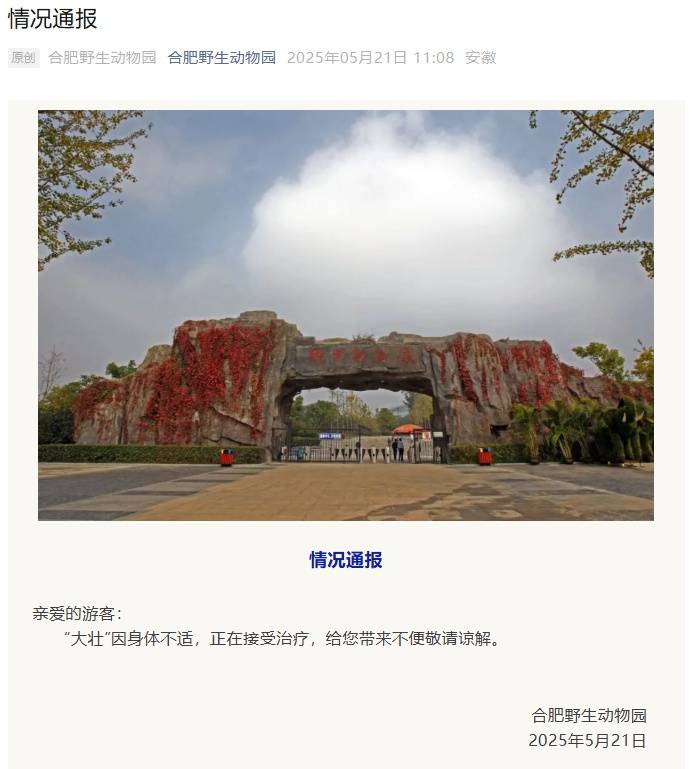 国字脸猴子“大壮”去世，曾因方脸“丑”出圈