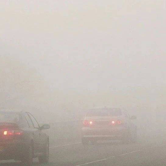 浓雾!江苏多地紧急预警→_地区_海区_能见度