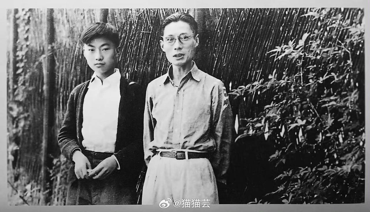 夏衍之子沈旦华先生逝世,享年88岁