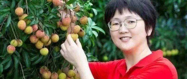 以荔枝红 绘振兴路！惠阳“新农人”讲述家乡荔枝故事_农产品_惠州_衍生