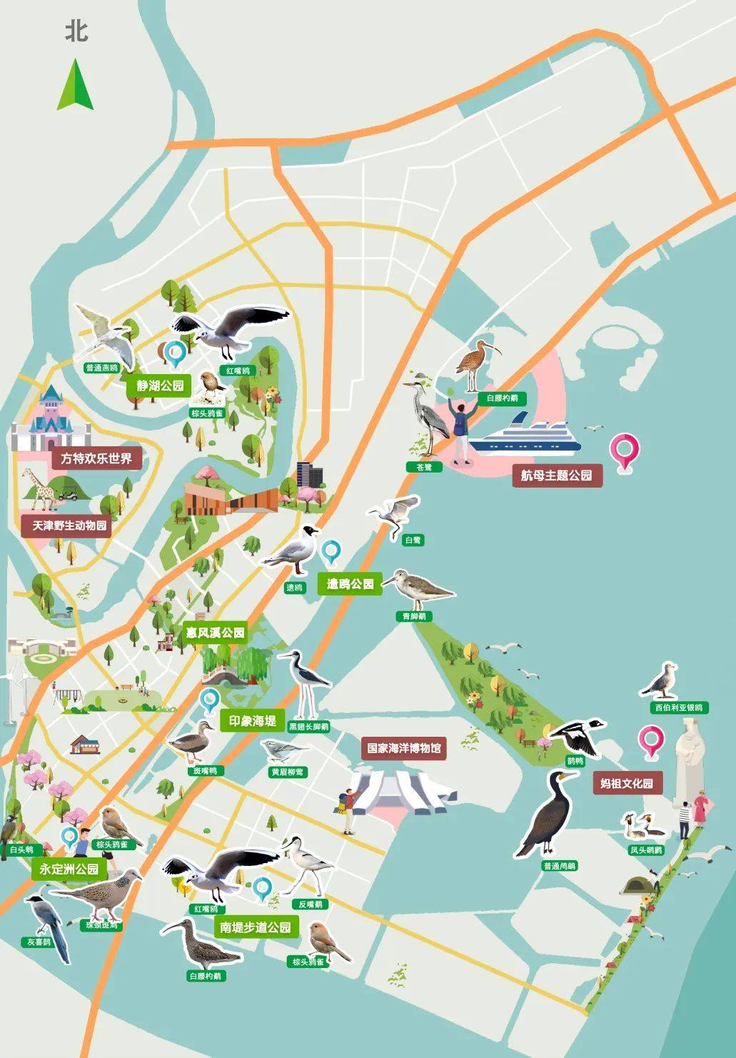 观鸟地图来了!一起来生态城看鸟吧