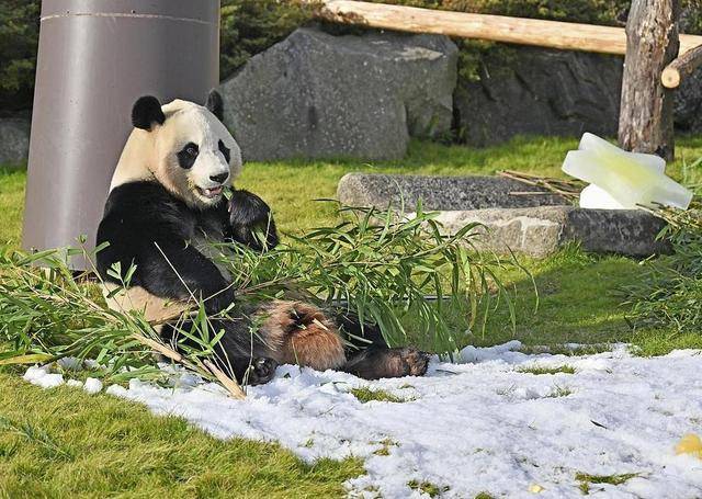 日本宣布：将在6月28日，正式归还中国！