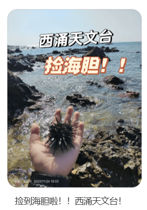 深圳一海滩惊现大量海鲜!有网友称怒捡一百多斤…… 深圳一海滩惊现大量海鲜!有网友称怒捡一百多斤……