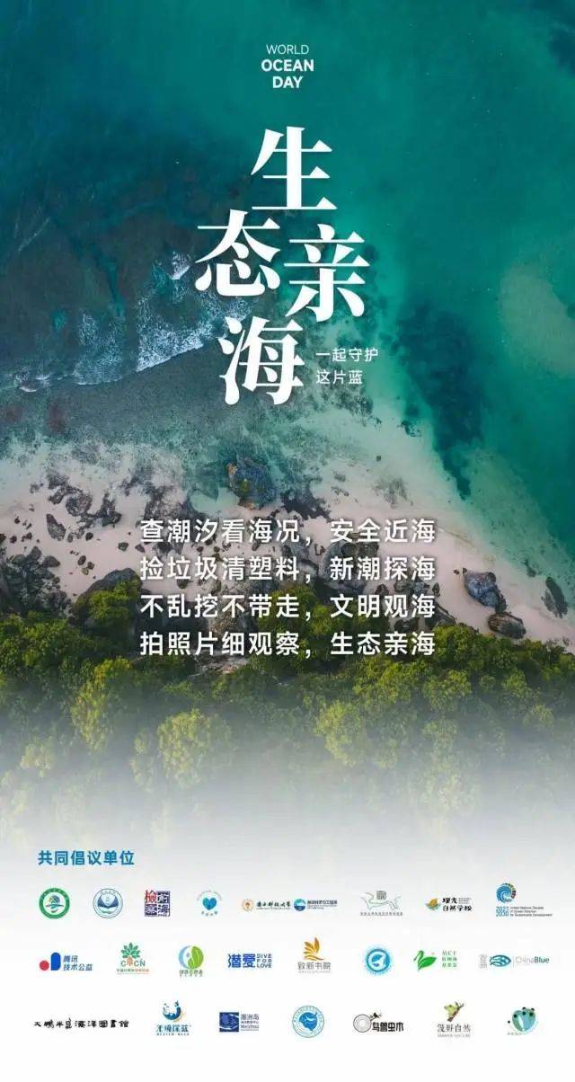 深圳一海滩惊现大量海鲜!有网友称怒捡一百多斤…… 深圳一海滩惊现大量海鲜!有网友称怒捡一百多斤……