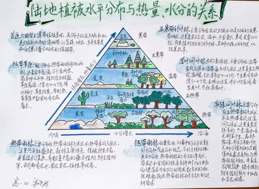 新高一地理救星！自然地理+地图，带解析(高中地理必修一自然地理要素及现象思维导图)