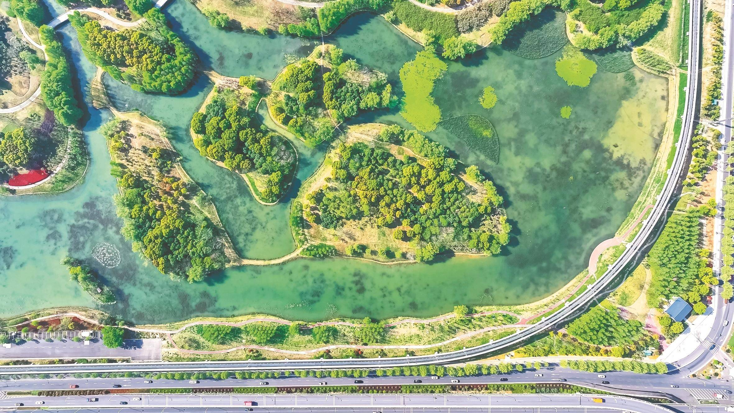 海绵城市 让城市自由"吐纳"