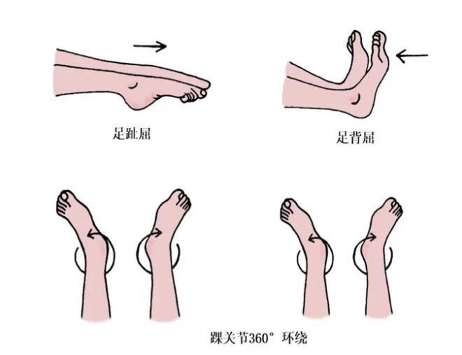 【汤医科普】别让卧床‘躺’出大难点！三大隐形杀手防护指南