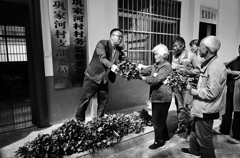 加速新品种新技术落地转化（原创）