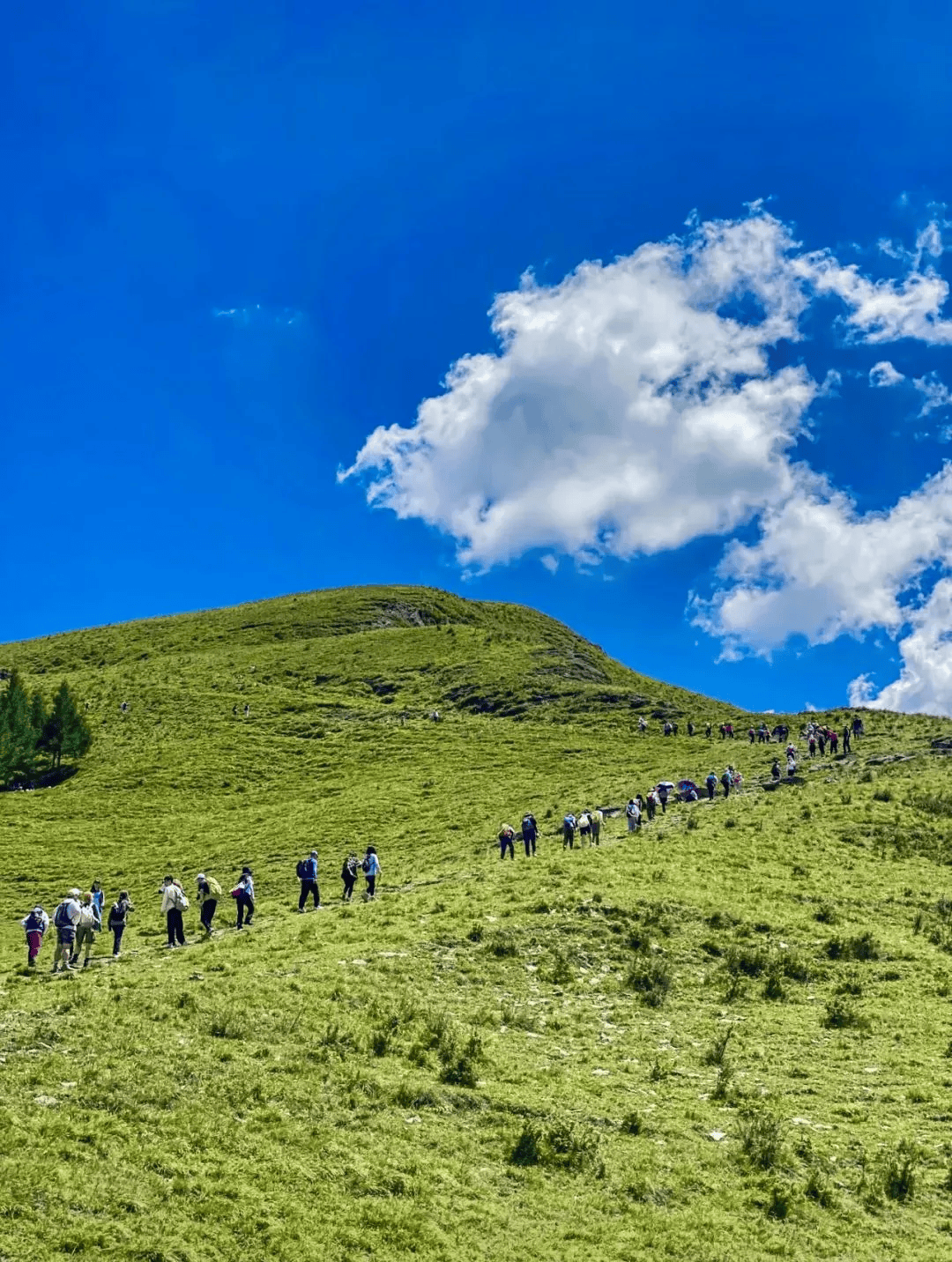 【徒步麻田岭】云中草原小天山