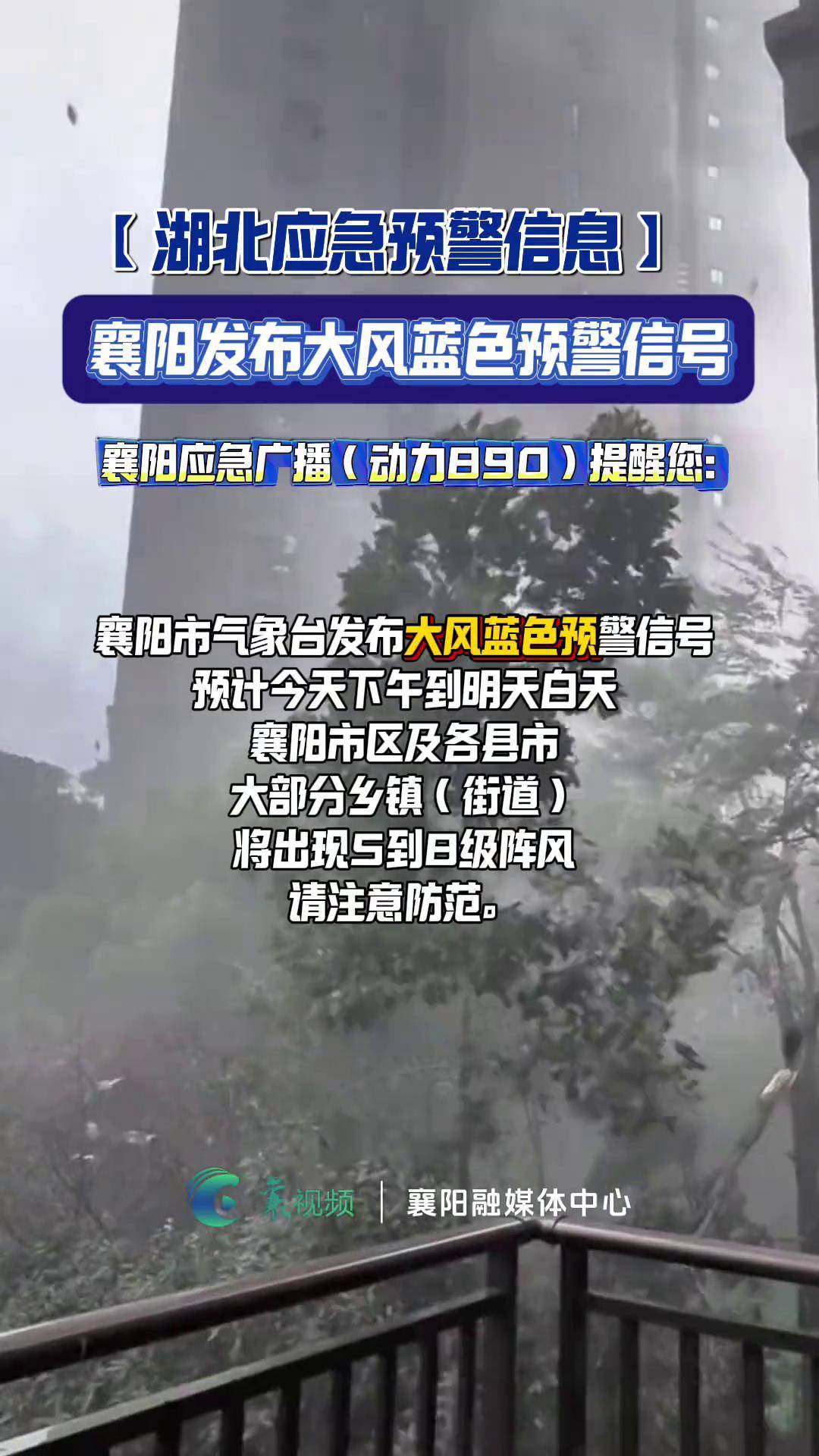 襄阳15天天气预报在线