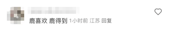 日本奈良小鹿当街抢中国游客包，飞脚踹人后携包狂奔！当事人：钱包和护照都丢了，心理伤害很大