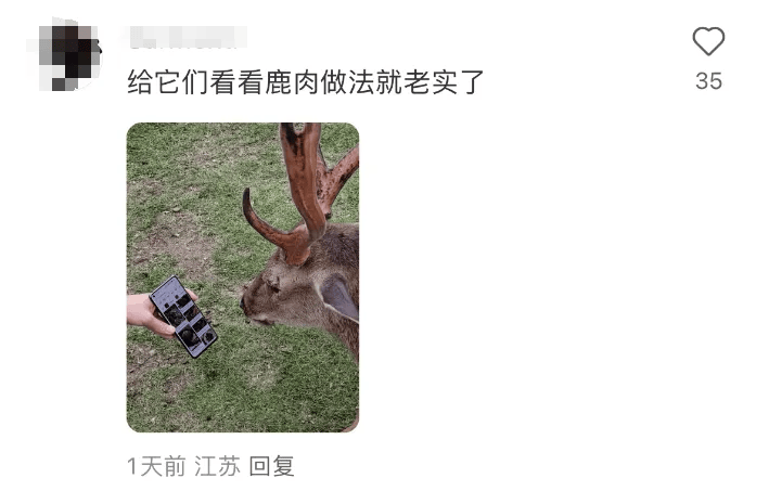 日本奈良小鹿当街抢中国游客包，飞脚踹人后携包狂奔！当事人：钱包和护照都丢了，心理伤害很大