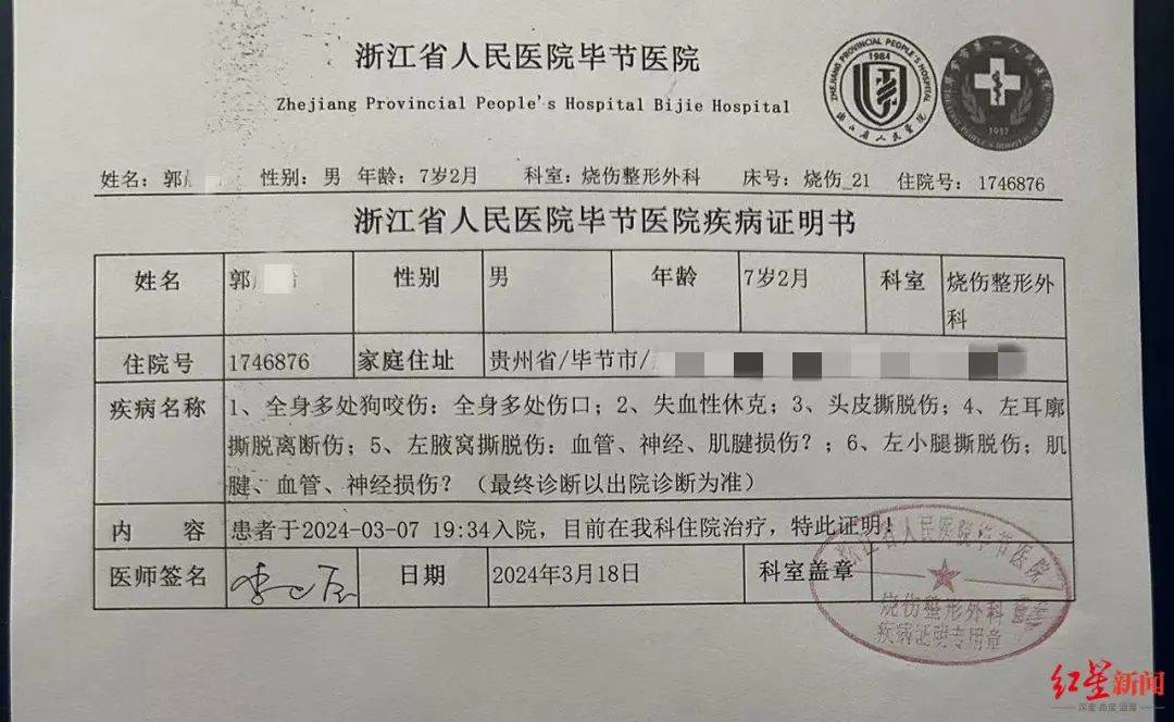 “7岁男孩放学途中遭3犬撕咬”引关注，母亲讲述经过：孩子休学1年，即将第6次手术