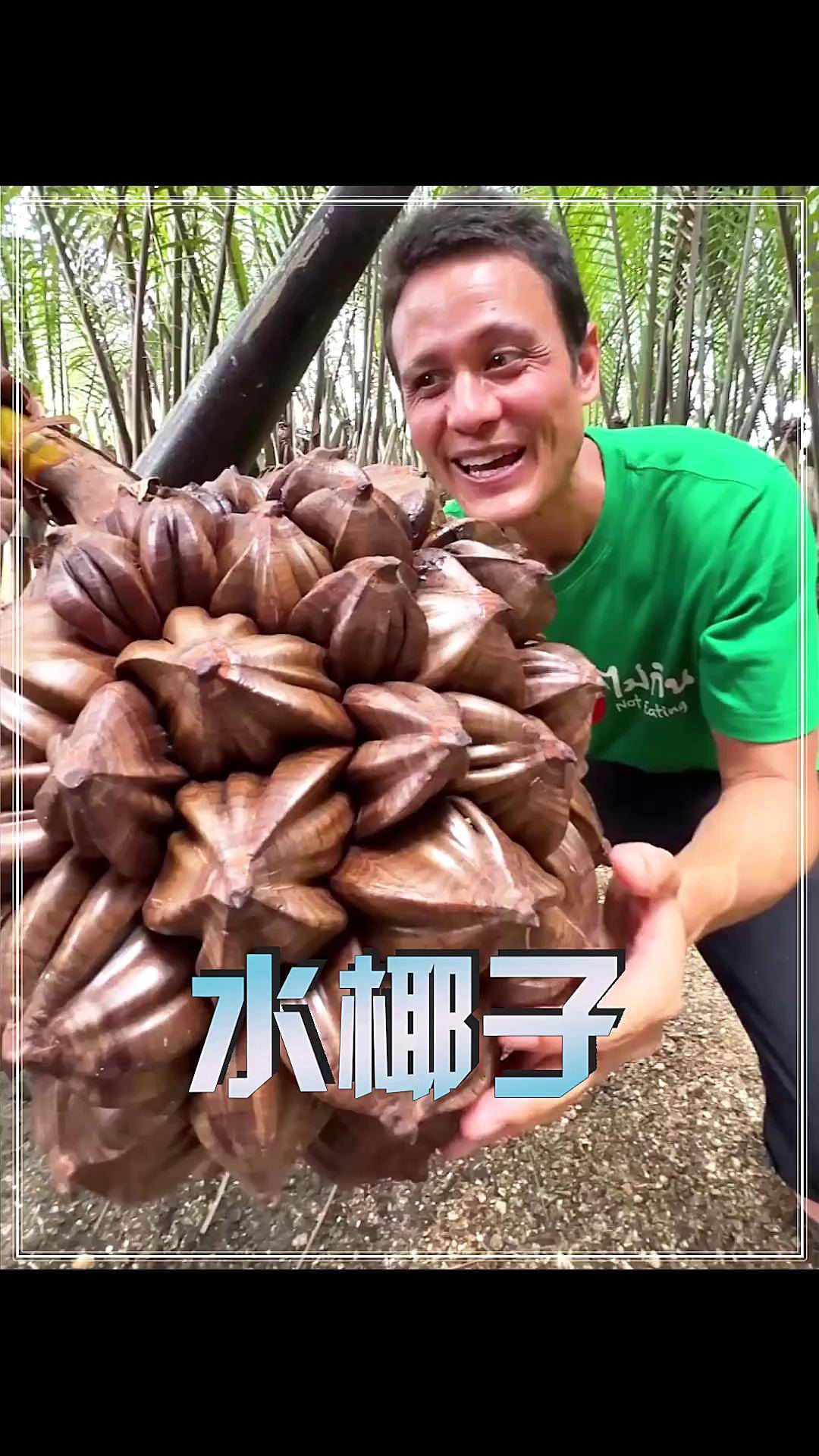 水椰子 水果中的"大杀器",越南当地人叫它水椰子美食科普 科普
