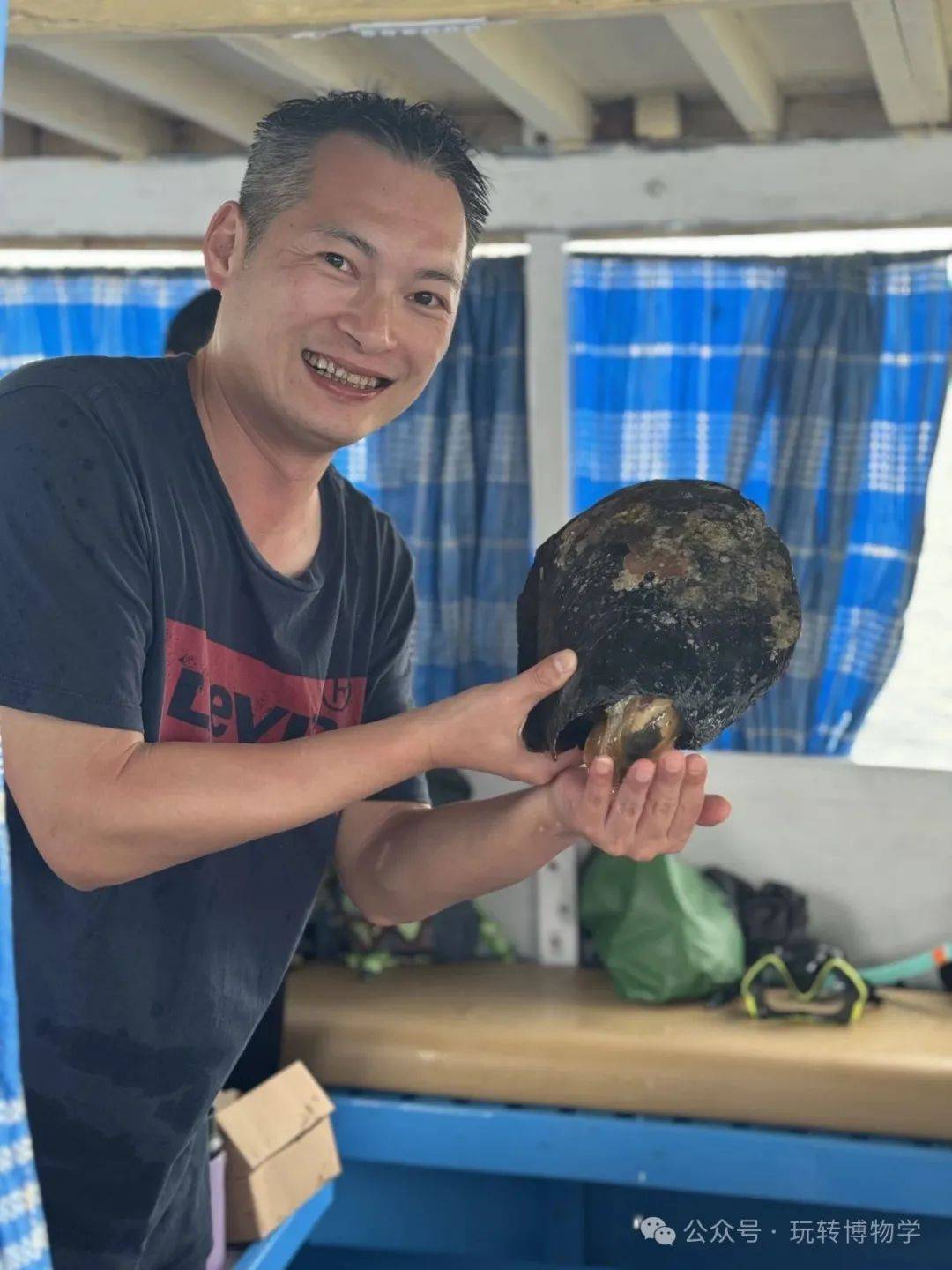 贝有趣乌桕大蚕蛾观察凶狠圆轴蟹大壁虎蛤蚧过树蛇