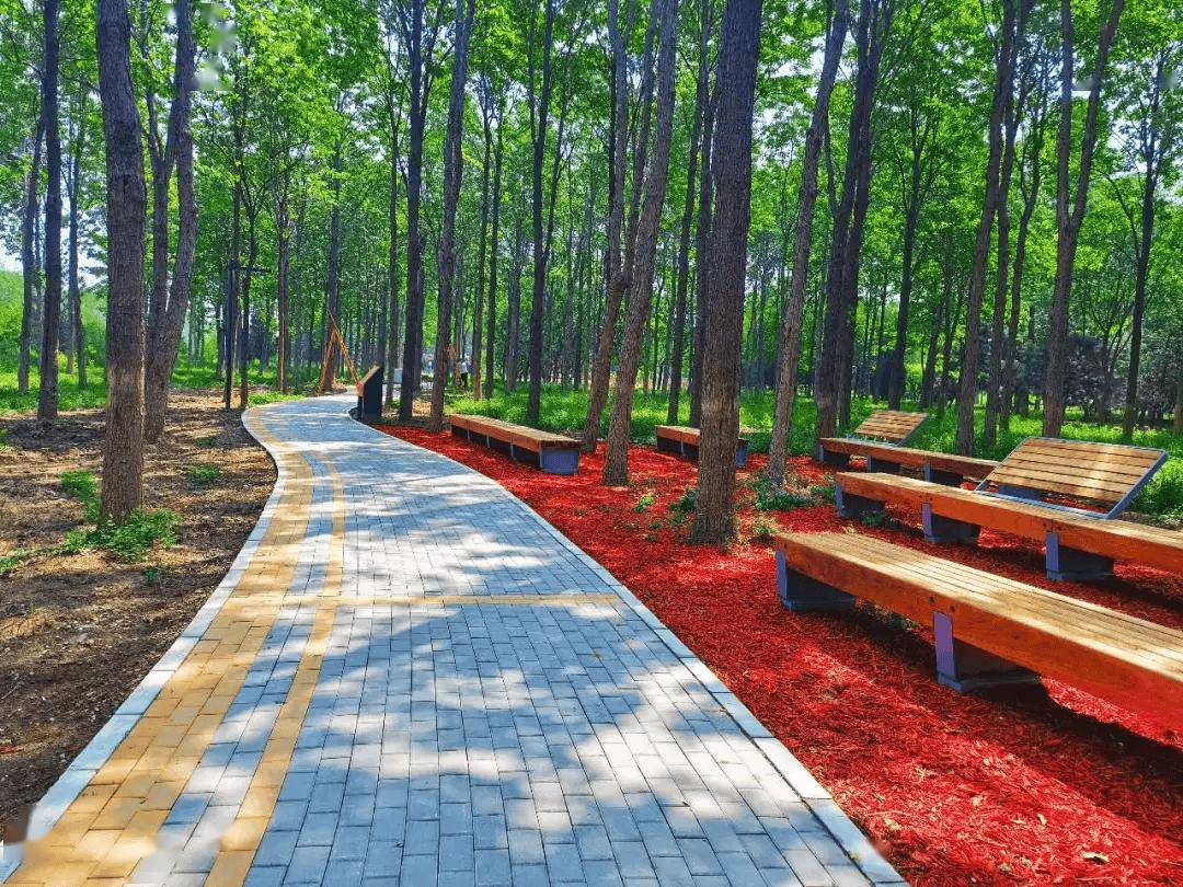 半塔郊野公园改造基本完成,奥北公园四期酝酿中