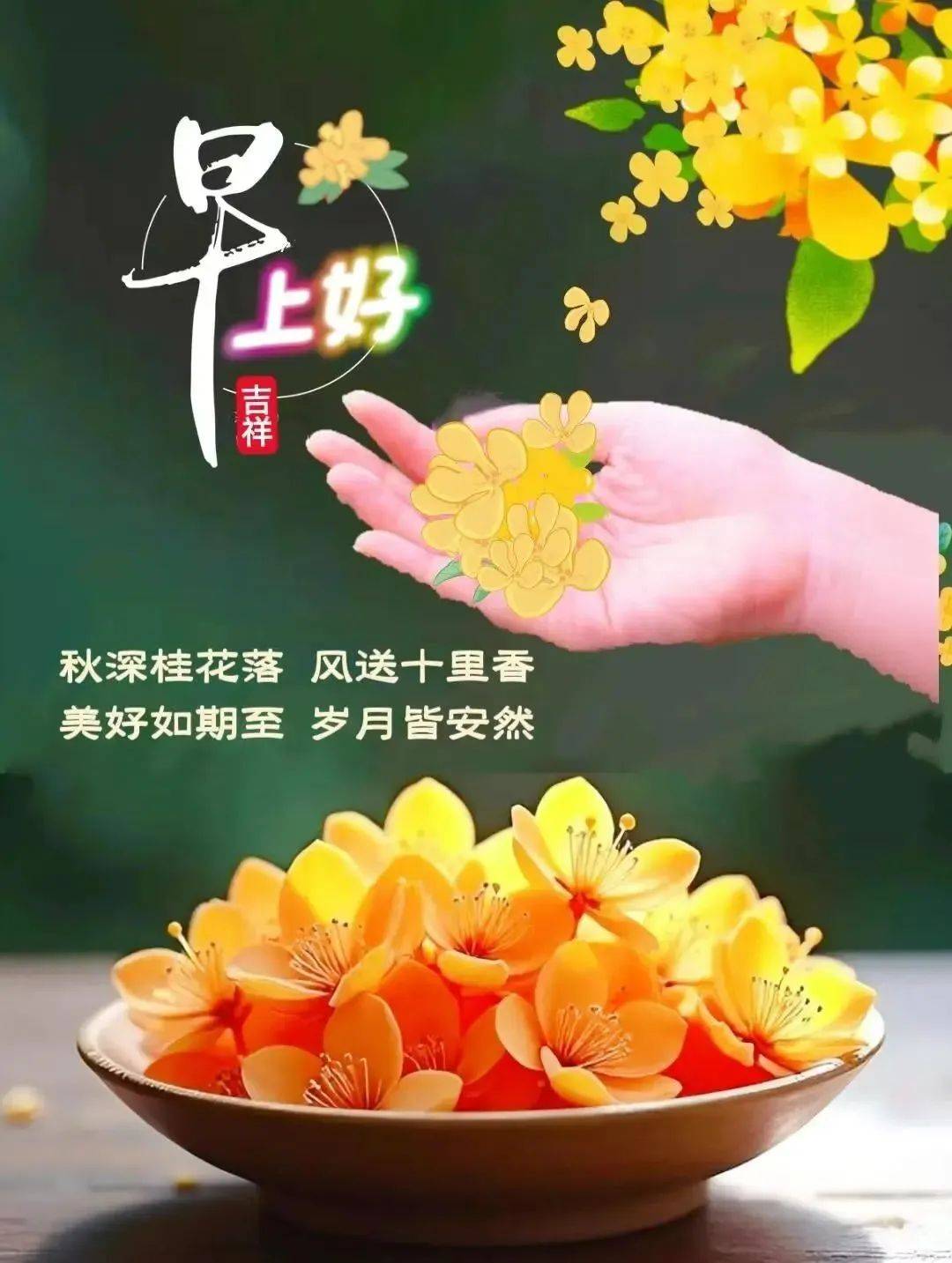 15张最新早上好最漂亮早安图片,最新唯美风景,互相牵挂,早上问好