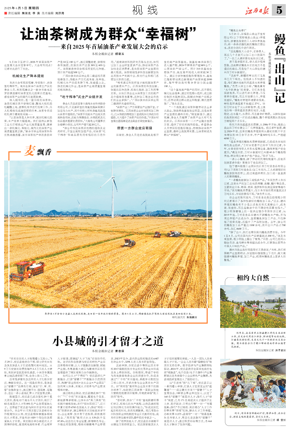 从食用油到面膜！看宜春如何“榨干”油茶价值
