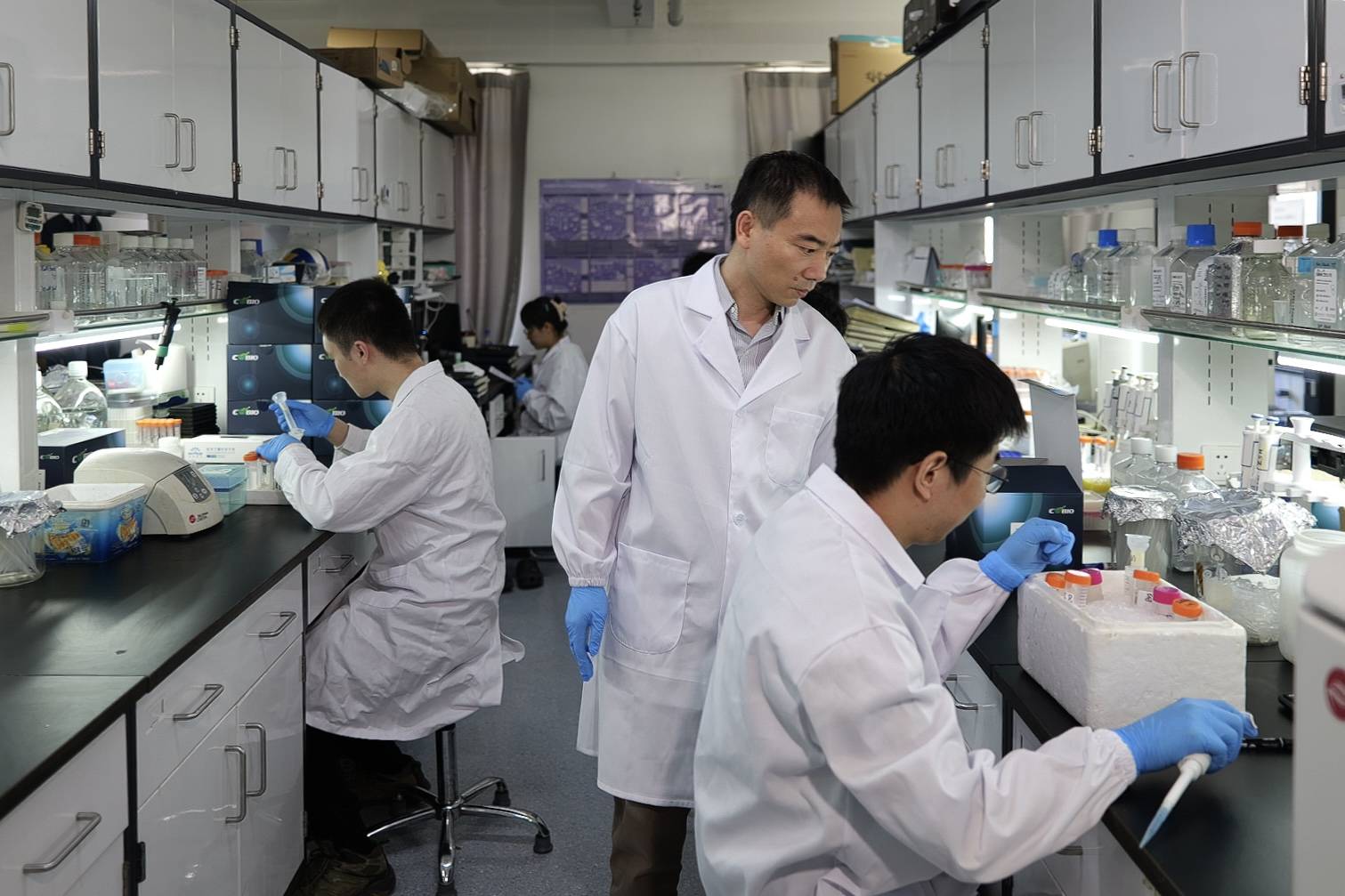 海归科学家黄志伟:择安静一隅 探索生命奥秘