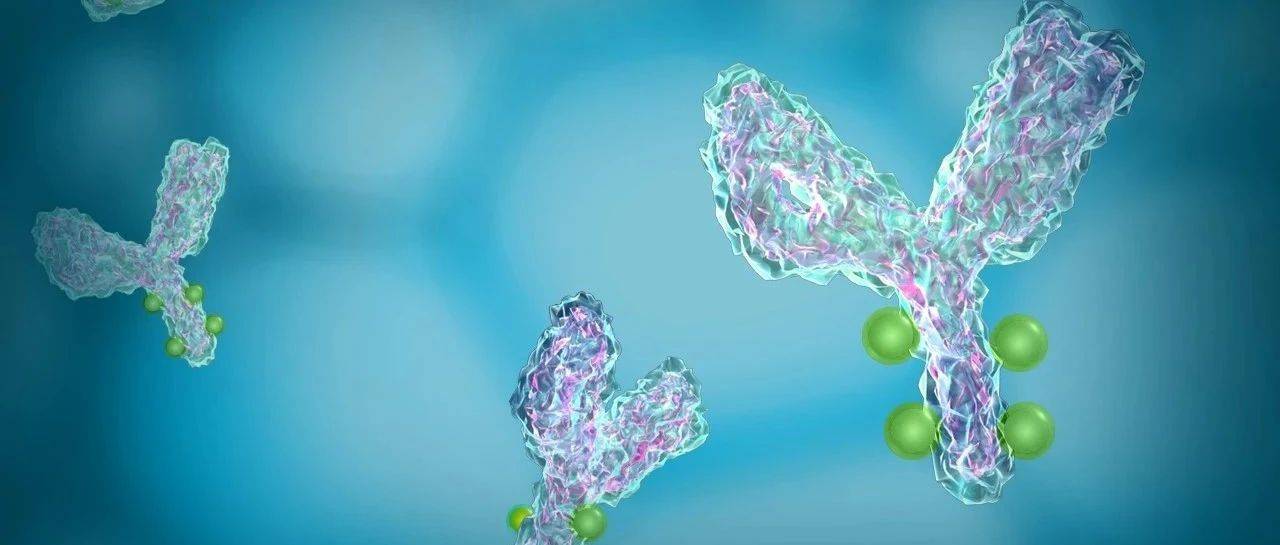 靶点深挖 VS 双抗 ADC：谁在捅破 ADC 肿瘤治疗「疗效天花板」？ | ASCO 2025_临床_全球_患者
