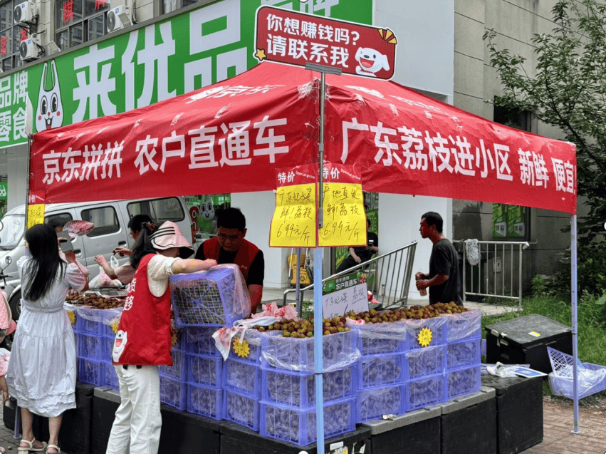 京东拼拼、京东华冠超市助力广东荔枝“鲜”达千家万户