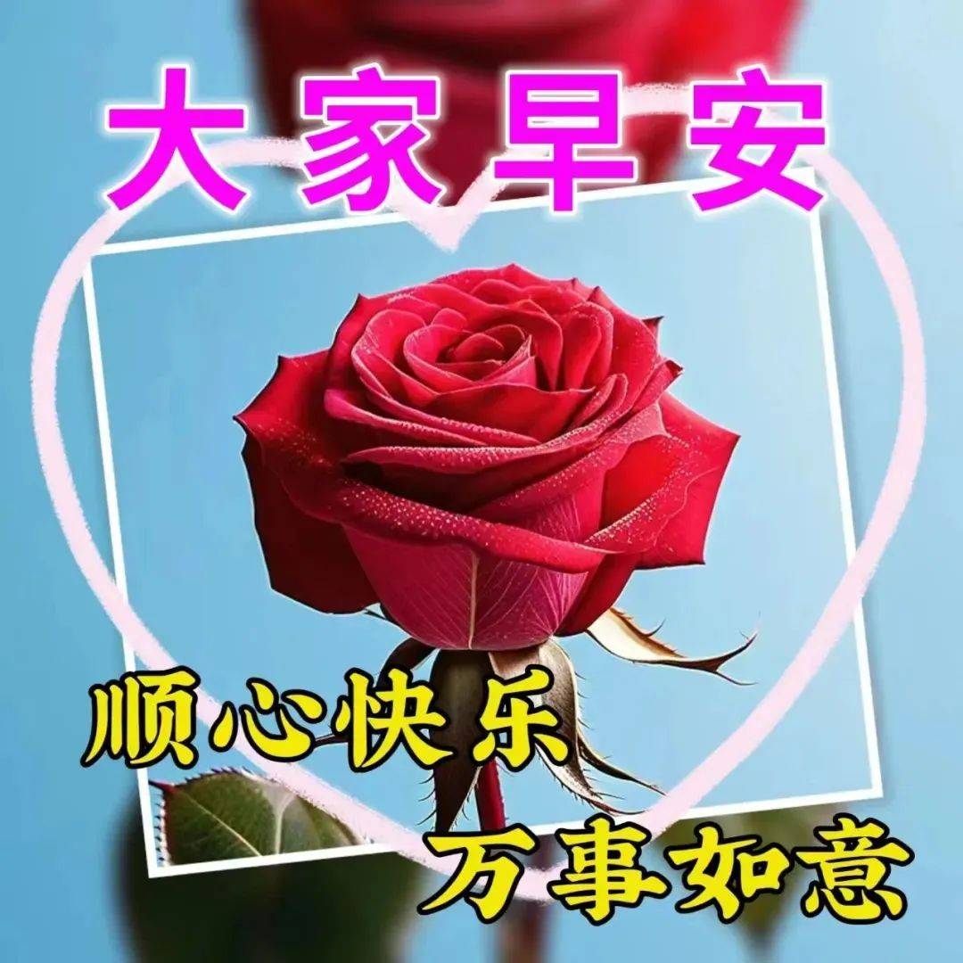 15张特漂亮的大家早上好图库,祝福问候,一切美好!