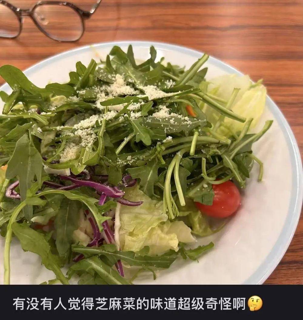 多种营养成分含量碾压普通生菜 又苦又辣的它为何成轻食常驻菜？_多种营养成分含量碾压普通生菜 又苦又辣的它为何成轻食常驻菜？_