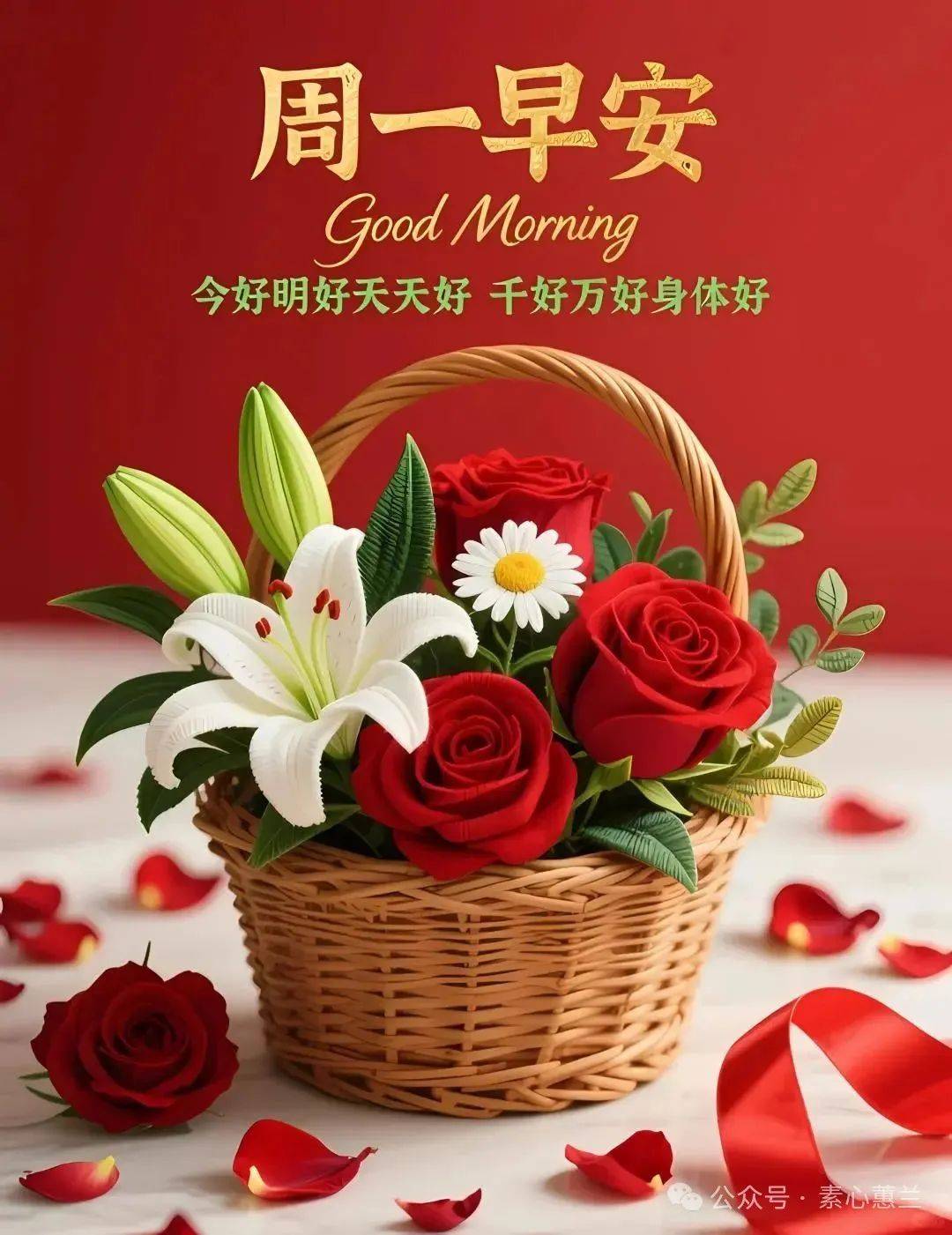 早上好，拥有独特的高端照片，早上好祝福，愿