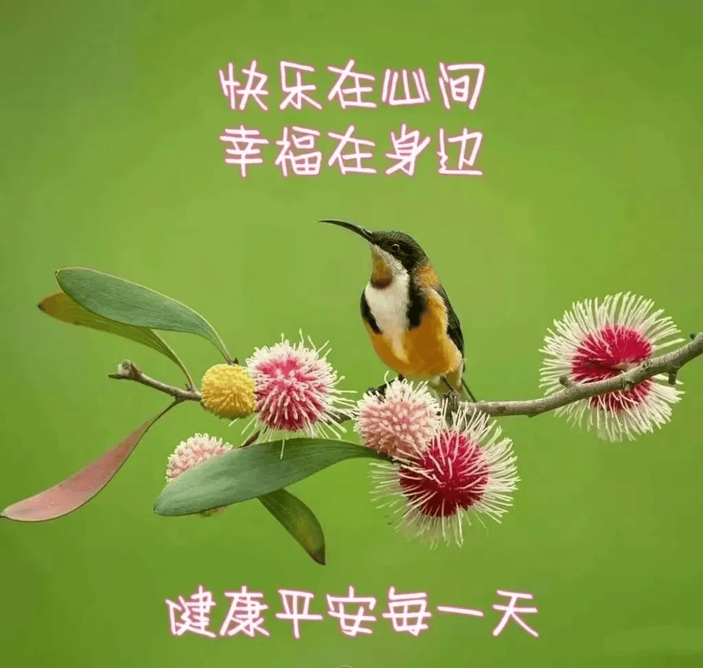 2025今日最新版超漂亮早上好表情图片精选祝福!