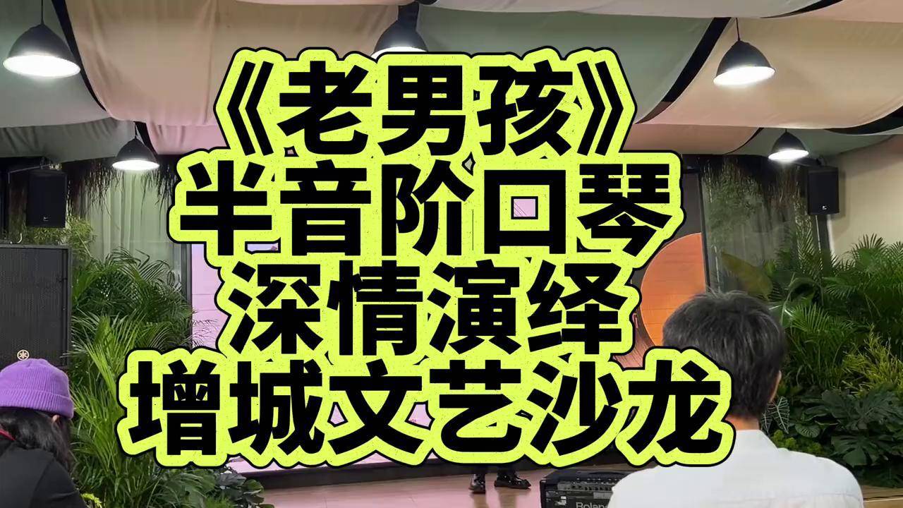 老男孩 半音阶口琴 龙登杰 口琴 半音阶口琴 布鲁斯口琴 口琴教学