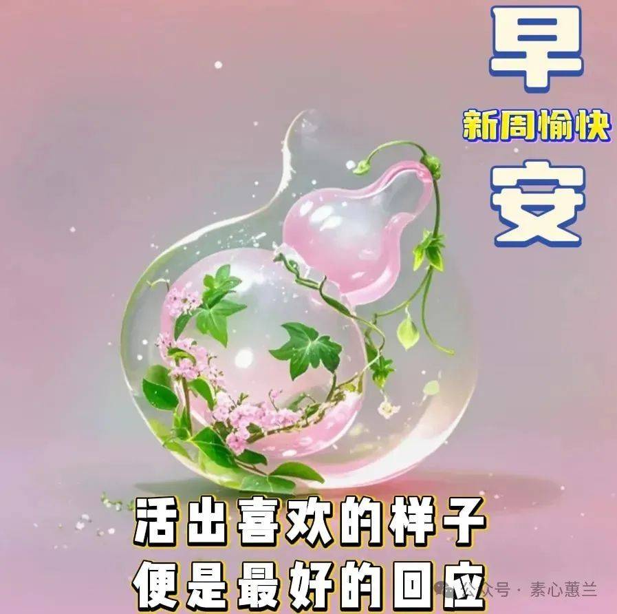 6月16日周一早安温馨祝福：身常健，心常安，笑常在~早安吉祥！_搜狐网