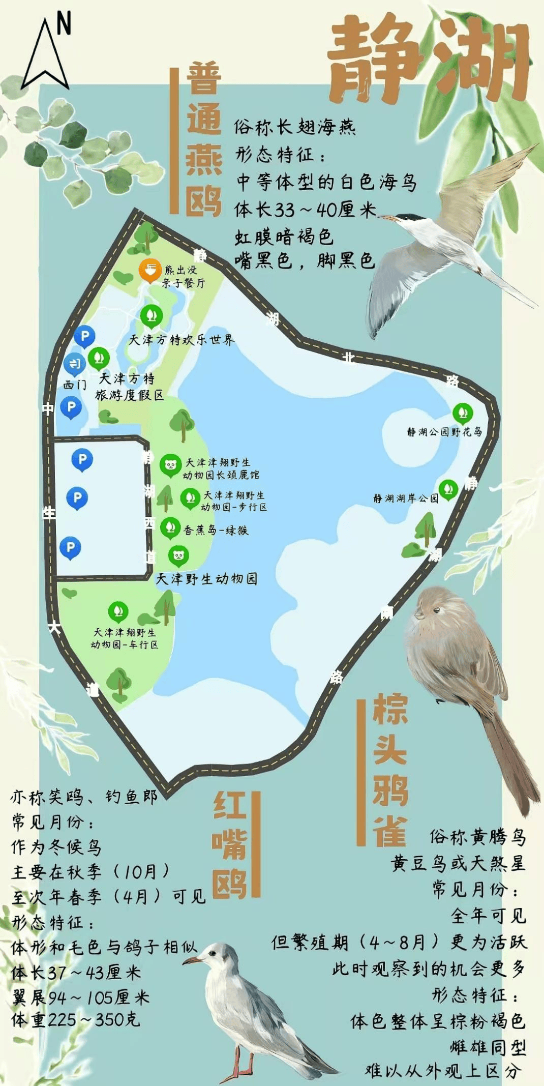 带着孩子一起去!生态城公园玩法" 1"