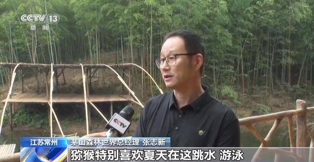 泼猴视频_泼猴什么意思_