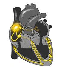 198_226gif 动态图 动图