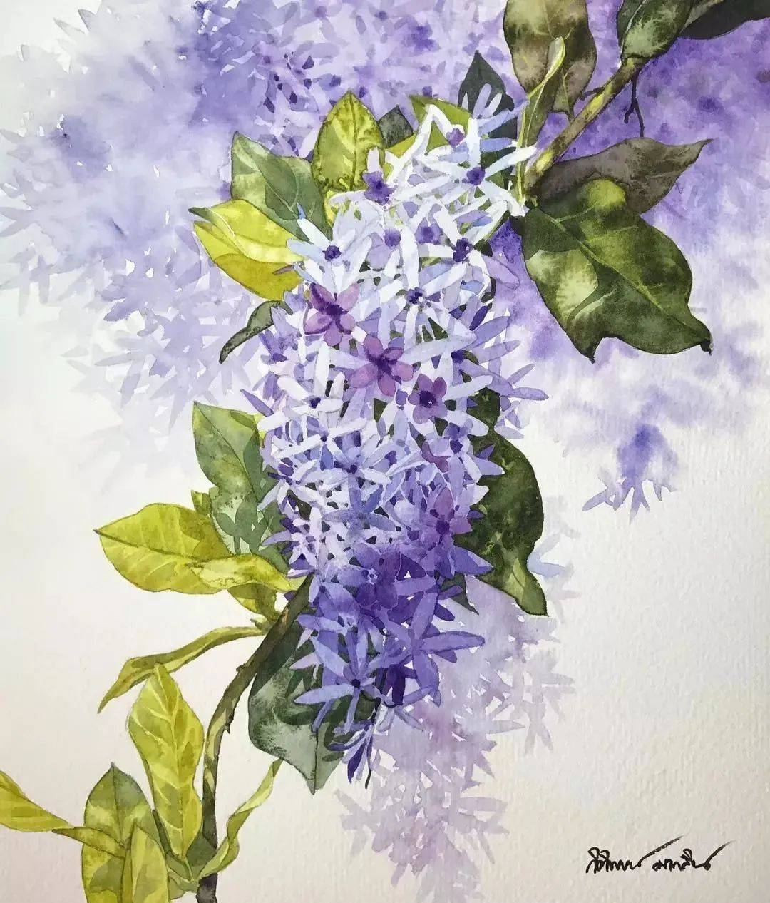 画水彩花的最高境界,是撩动每一个爱花的女孩子的心!