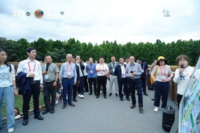 _探馆第9届南博会“住在云南”展区：解码诗意栖居的云南答案_探馆第9届南博会“住在云南”展区：解码诗意栖居的云南答案