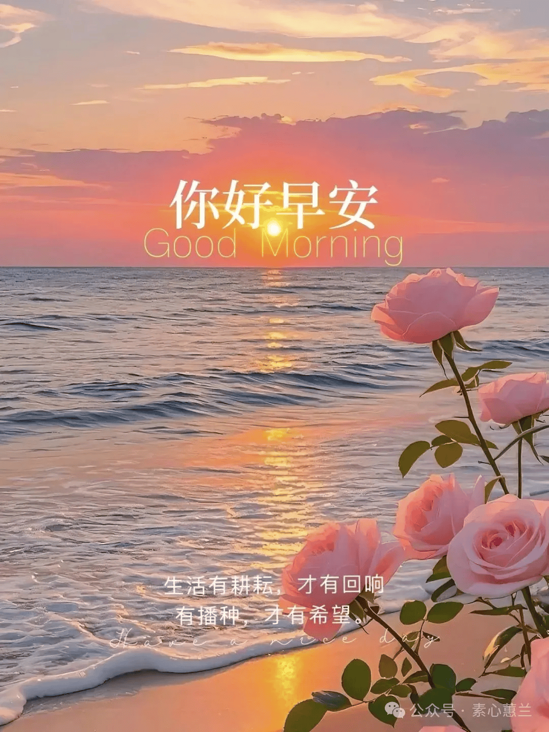 早安唯美图片早上好温馨祝福,愿你每一天,都有小确幸相伴!
