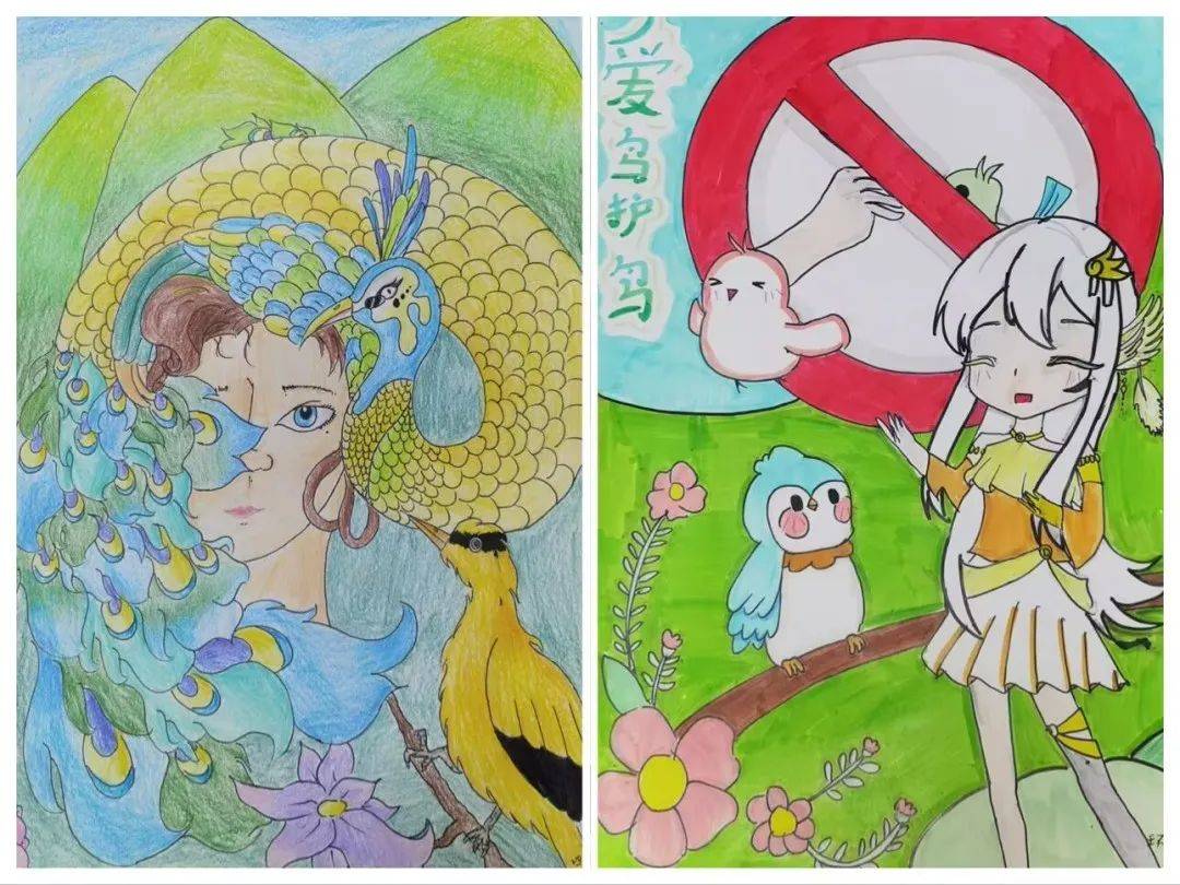 爱鸟护鸟 主题班会引导学生们争做"护鸟小卫士"