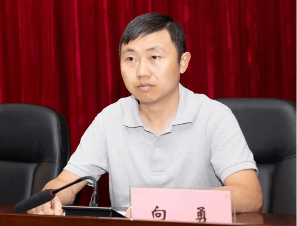 斗破苍穹网页游戏官网:90后北大博士向勇，已任正处级新职
