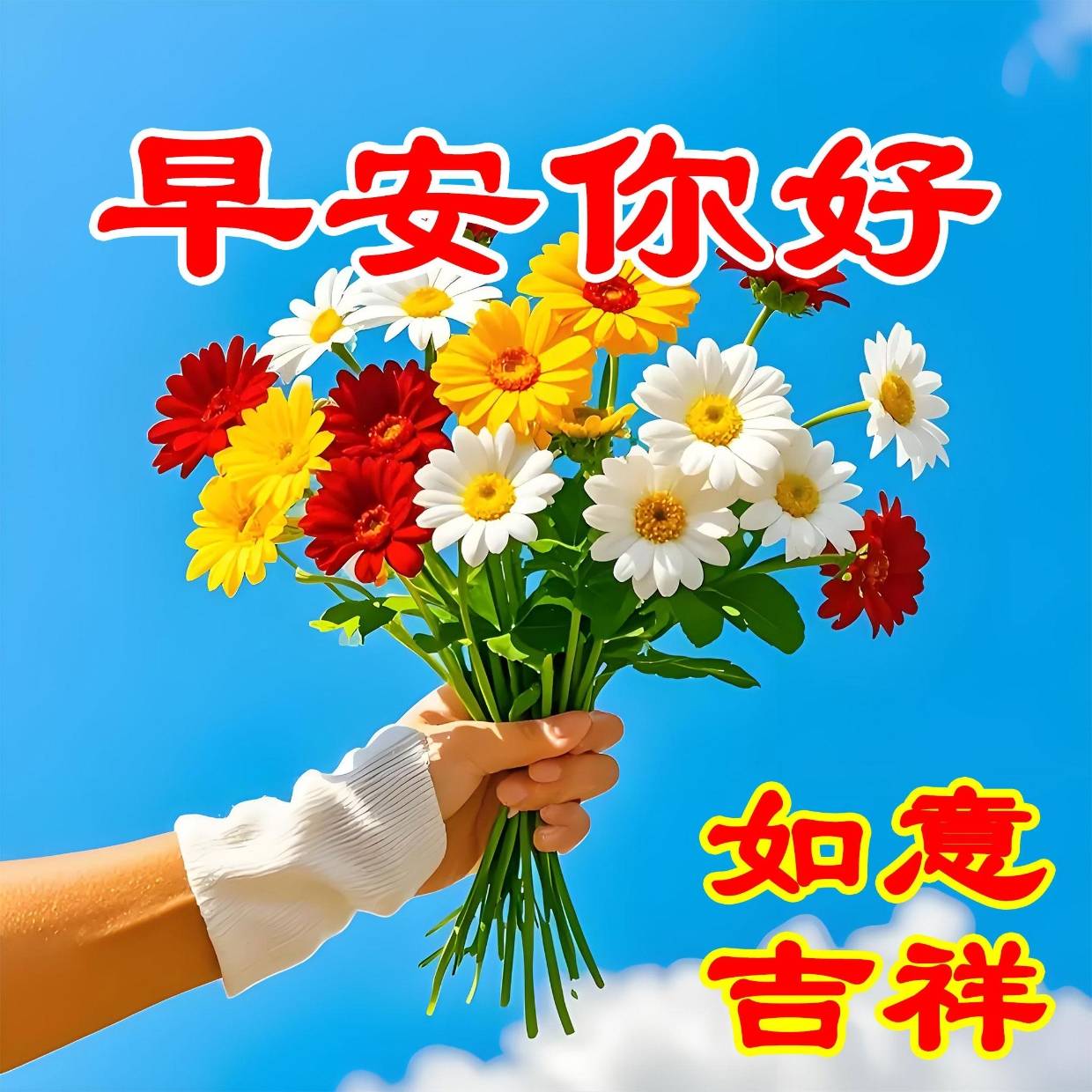 42张漂亮的早安图片+早上好问候语，每天不重样…