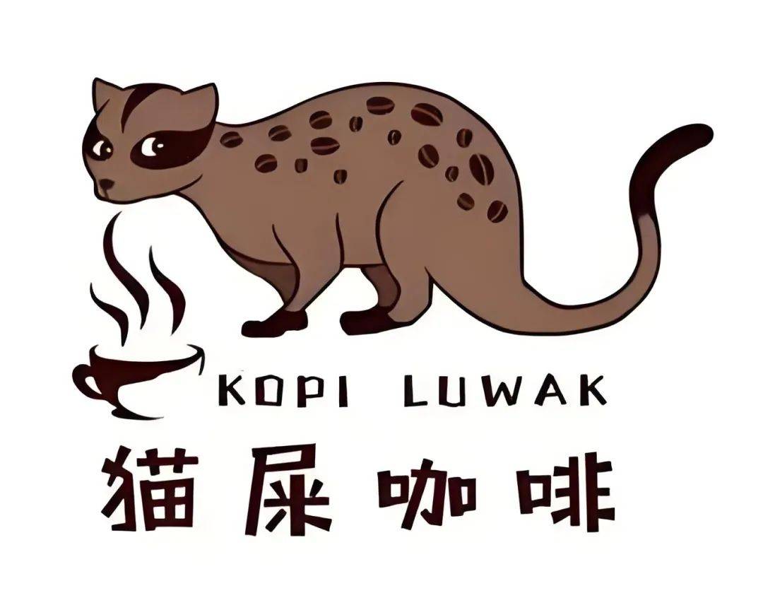 猫屎咖啡：独特韵味、高价背后的制作原料与