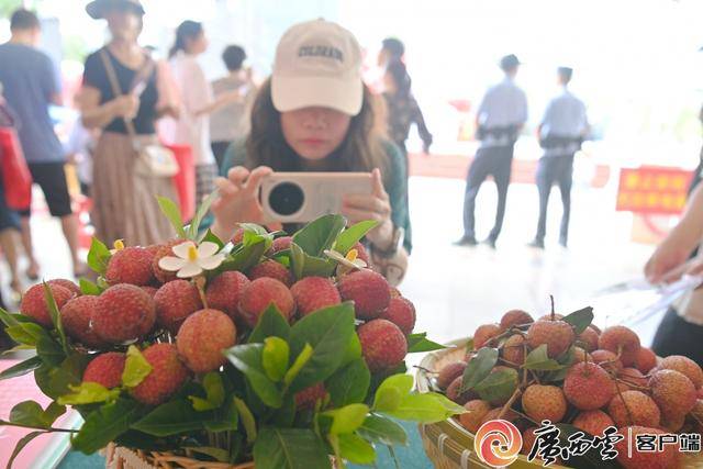 合浦香山鸡嘴荔枝拍卖__广西鸡嘴荔枝与桂味哪个好吃