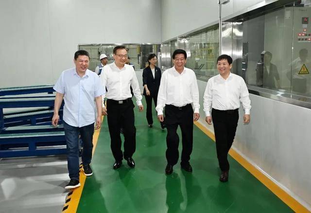 蜜源在线观看视频在线观看:中央指导组组长、安徽省委书记，一同外出调研